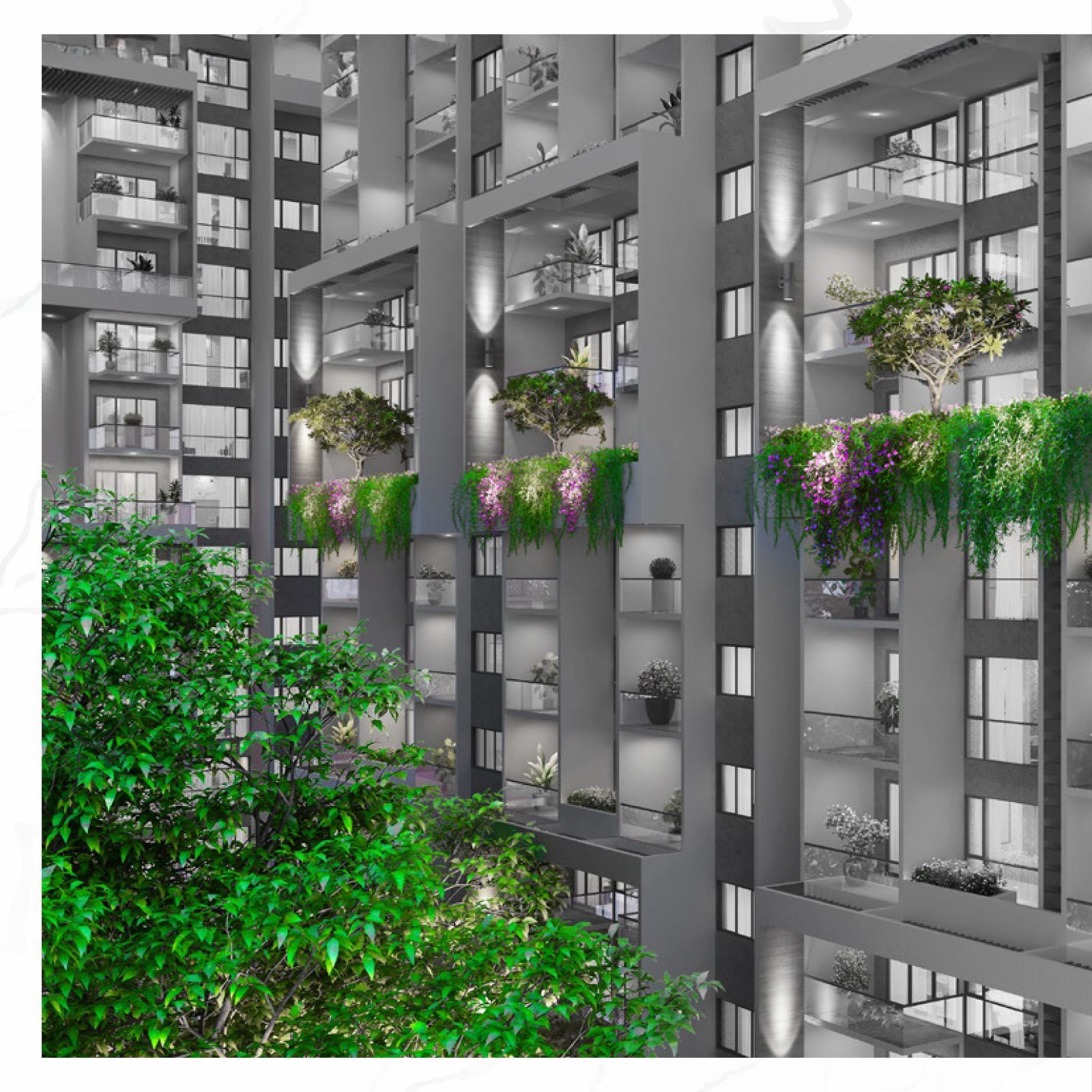 The Ivory Terrace photo 3