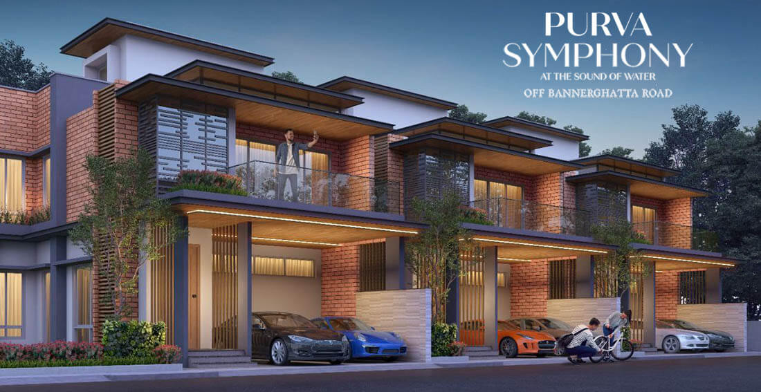 Purva symphony photo 4
