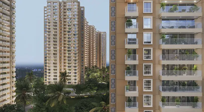 Prestige Southern Star photo 2