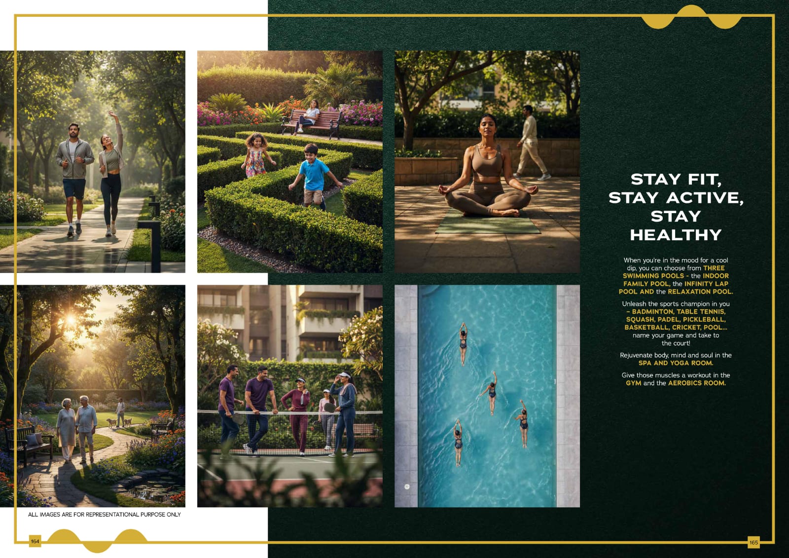 Prestige Evergreen photo 5