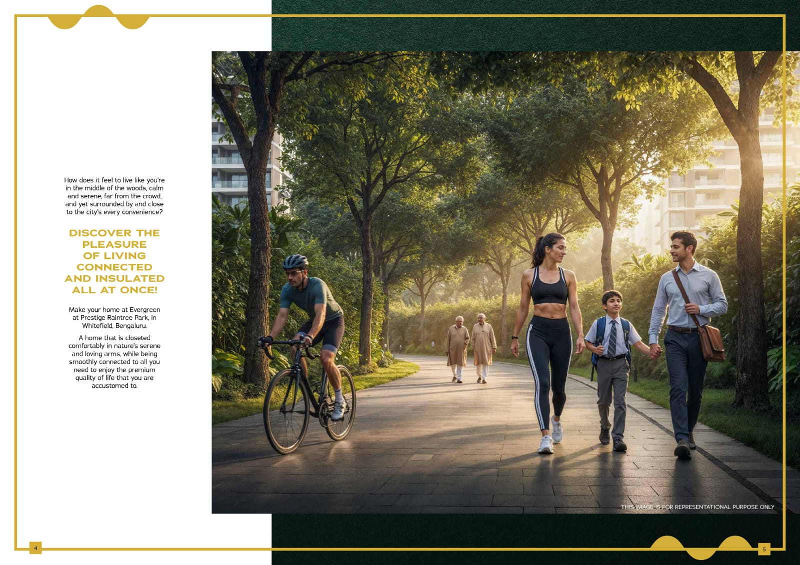 Prestige Evergreen photo 8